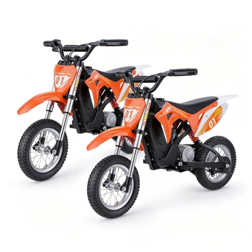 HillMiles MileRocket1 36V 300W Kids Electric Dirt Bike (Dual Bike Set)